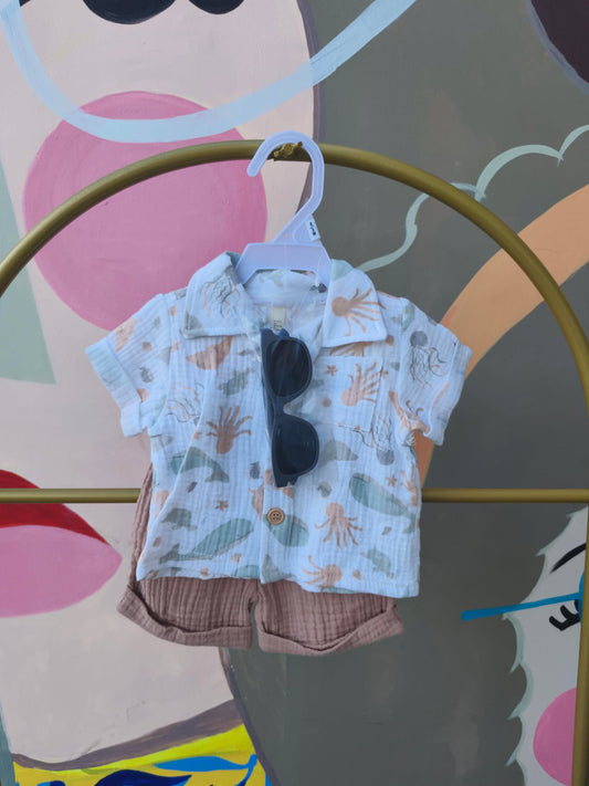 Baby Boy Summer Polo & Shorts Set with Sunglasses